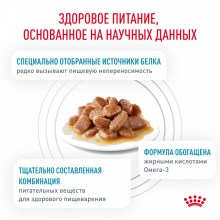 sensitivity control chicken with rice_4